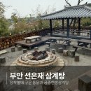 선은재삼계탕