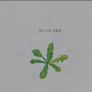 수리중학교 이미지