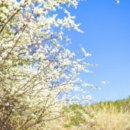 맨션자두 민박 이미지