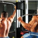 Body Master Gym 이미지