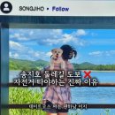 애견마을 - 북구 산성로 41 | 고성 가볼만한곳 송지호 둘레길 무료 자전거 대여 왕곡마을 코스 후기 (애견동반)