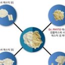 매스틱검 복용법 매스틱검 효능 매스틱검 매스틱 이미지