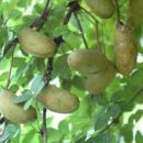 포낙보청기수원센터 이미지