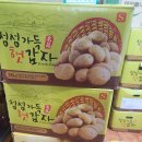 대나무집 | 부산 중앙동 직장인 노포 단골 맛집 카레향 가득한 대나무집 닭도리탕