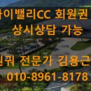 스카이엔지니어링주 이미지