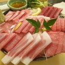 미스터참치 이미지