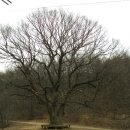 축현3리 이미지