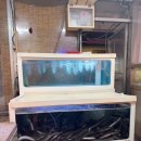 장보고장어 | 강서구 양천구 장어 포장 맛집 목동 깨비시장 깨비장어