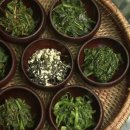 케어모어 이미지