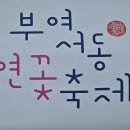 서동공원 Daum카페