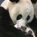 울엄마국집 이미지