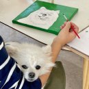 리미온 아트스튜디오 이미지