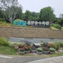 푸른산수목원 | 경기 남양주] 물맑음수목원, 아이랑 가기 좋은 반딧불이 특별전시와 숲체험 솔직 후기