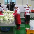 하일영농조합법인 이미지