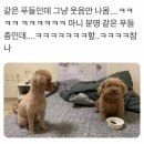 나옴 이미지