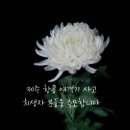 정훈태권도 이미지
