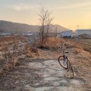 발안천 산책로 이미지