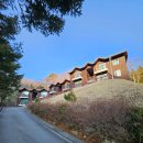 금봉자연휴양림 | 의성 금봉 자연휴양림 힐링 후기｜7만 원으로 누린 산속 완벽한 휴식