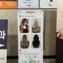 묭실:살롱