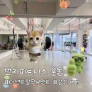 무브먼트 피트니스 | 성신여대 운동추천, 더센트럴무브먼트 번지피트니스 후기