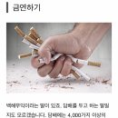 건강한사람들 이미지