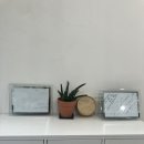 샐요뜨 | 옥산동 카페 경산샐러드맛집 다이어트포케 샐요뜨