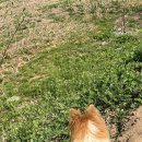 대심농장 이미지