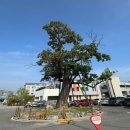 춘천시청 별관(춘천도시공사) 이미지