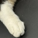 종합차유리 이미지