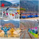 경북 청도 레일바이크 가격 청도 놀거리 아이와 여행 가볼만한곳