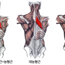 이동원한의원 이미지