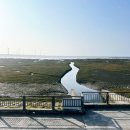 세븐일레븐도당공단점 | 대만 타이중 가오메이습지 (고미습지) 버스 타고 가는 법 / 알바 최악으로 한 썰 Gaomei Wetland