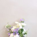보볼리플라워 이미지