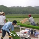 옴천면복지회관 노컷뉴스