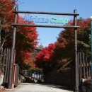 미리내캠프 이미지