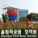 장미카센타 이미지
