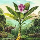 한국파라마운트(주) 이미지