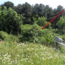 고성리-6 이미지