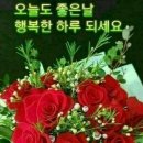 화요일 이미지