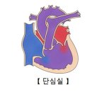 단실 이미지