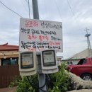 제주차롱농장