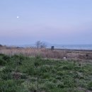 용동농장 이미지