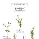 그림;스킨바디 이미지