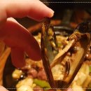비어홀릭 이미지