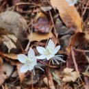 고삼호수로 이미지