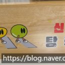 신호등 탕후루 이미지