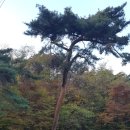 노루와사슴유치원 이미지