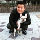 펫시(petsee) 이미지