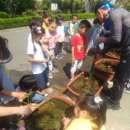 대전원평초등학교 이미지