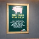 제주도새기대패삼겹살